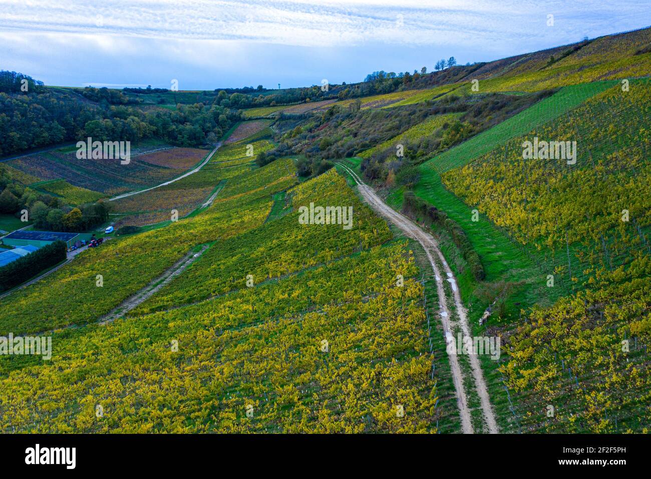 Luftaufnahme auf den Weinbergen in der Sancerre Gegend im Herbst, Berry, Cher, Frankreich Stockfoto