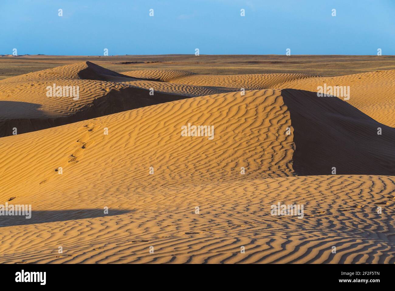 Riesige Dünen der Wüste. Schöne Strukturen von sandigen barkhan oder Sand-Düne. Wellen durch Wind auf der Sandoberfläche. Stockfoto