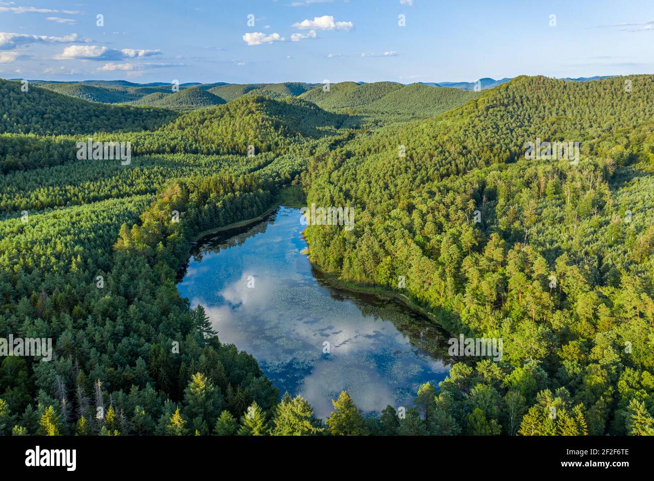 Luftaufnahme auf tiefe Wälder im Abendlicht. Weite Wälder und See in der Landschaft. Blauer Himmel und Wolken spiegeln sich in der Wasseroberfläche. Stockfoto