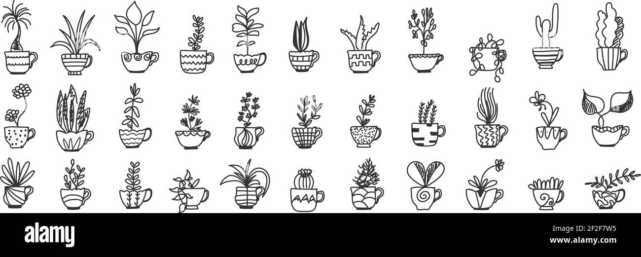 Pflanzen in Töpfen Doodle Set. Sammlung von handgezeichneten verschiedenen hausgemachten Hosen und Blumen in Töpfen für Zuhause Innendekoration isoliert auf transparentem Hintergrund Stock Vektor