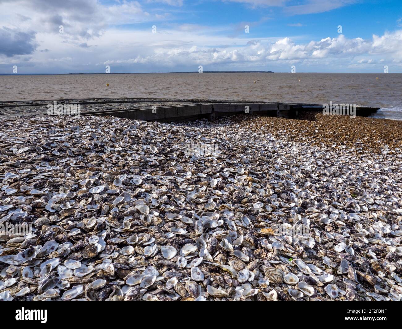 Ausrangierte Austernschalen am Whitstable Beach. Stockfoto