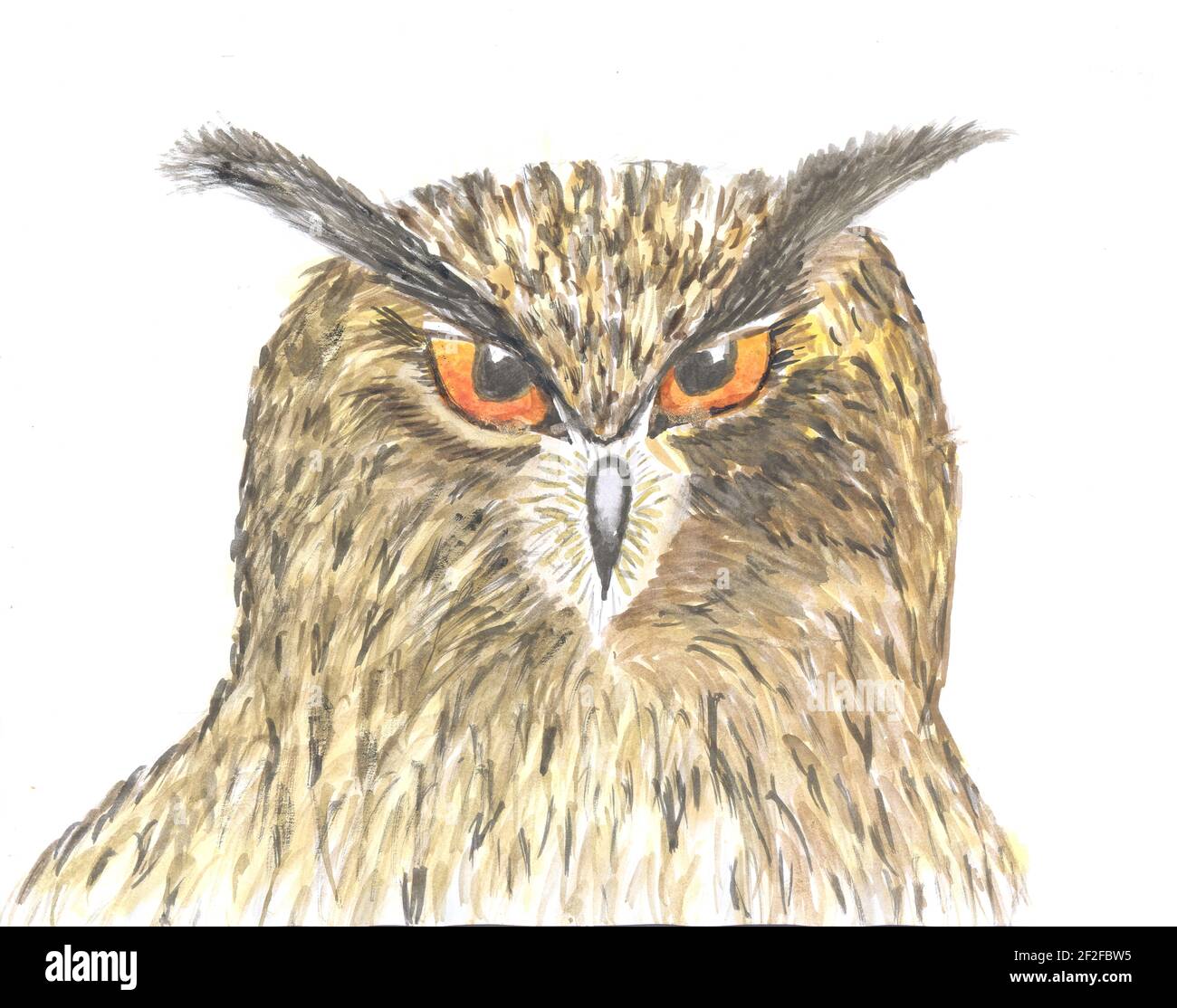 Wasserfarbe Scheune Eule. Eule Kopf Aquarell Malerei Hand isoliert auf weißem Hintergrund gemacht. Eule Illustration auf weiß. Stockfoto