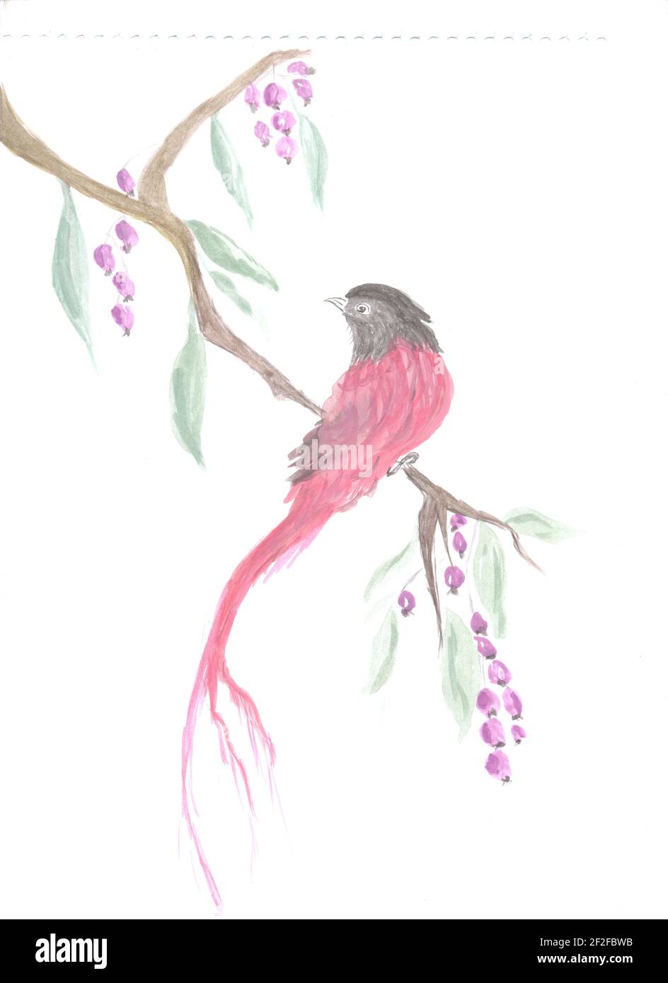 Einladungskarte mit hellen Aquarell Vogel. Original Kunst, Aquarell von orientalischem Stil Vogel mit Blüten. Chinesische Kunst Stockfoto