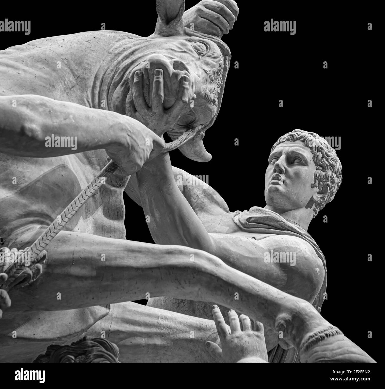 Herkules kämpft gegen den kretischen Stier oder die Statue des gottes Mithras, der einen Stier tötet. Steinskulptur isoliert auf schwarzem Hintergrund Stockfoto