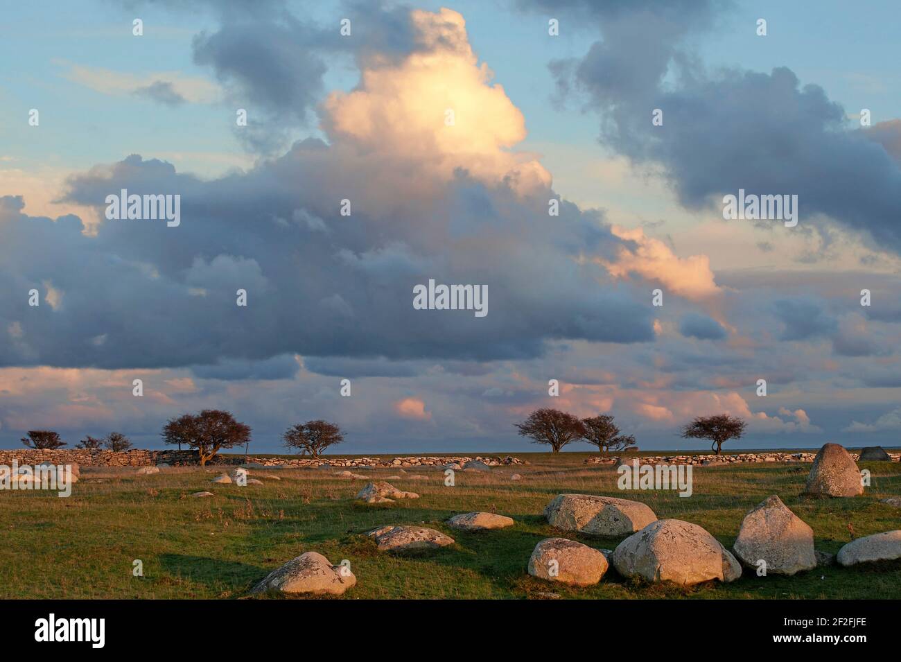 Olands südliches Kap und das Grasland von Schaferiangarna, Schweden. Foto: Anders Good / TT / Code 2343 Stockfoto