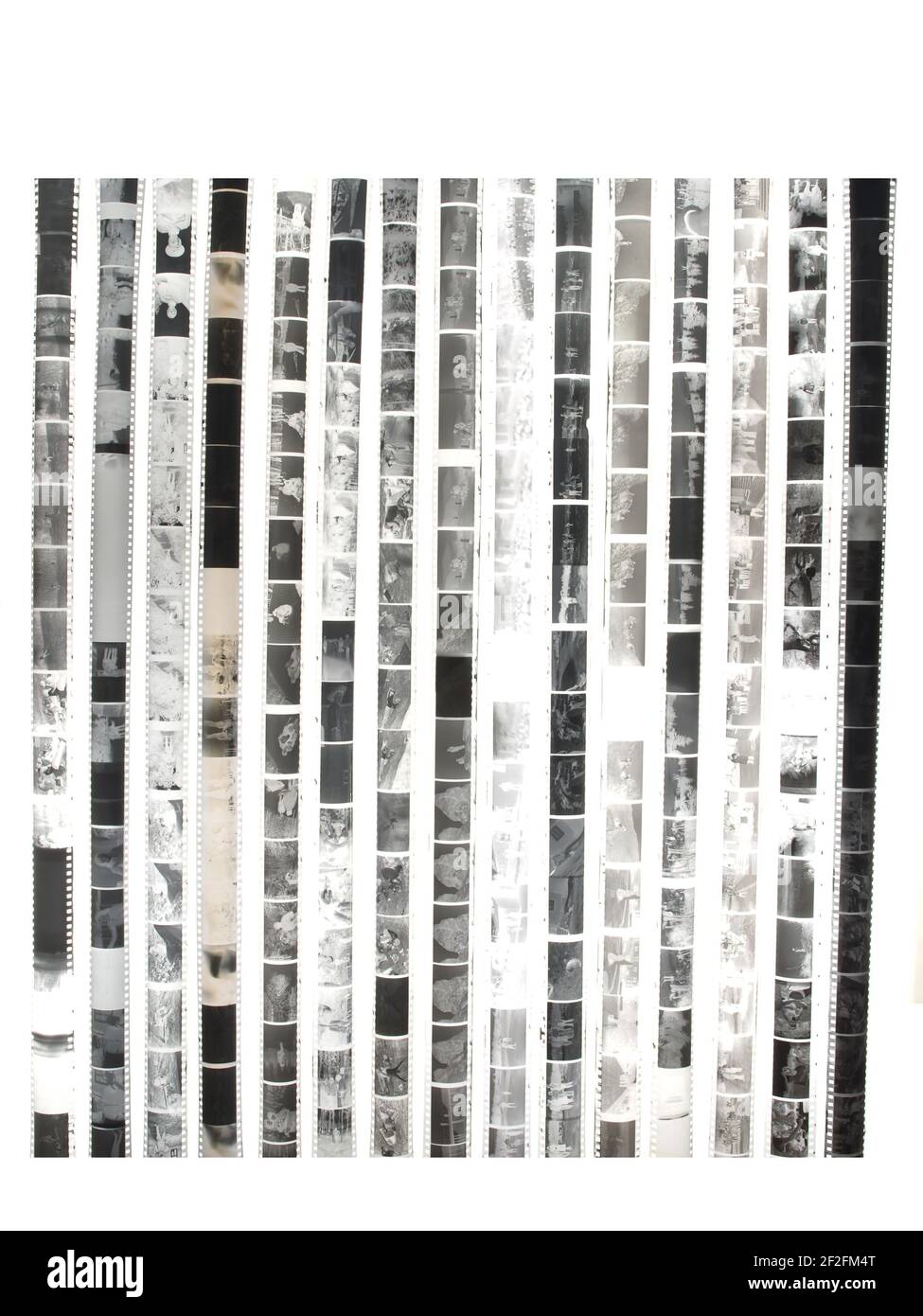 Negative von monochromen 35mm-Fotofilmen isoliert auf weißem Hintergrund. Stockfoto