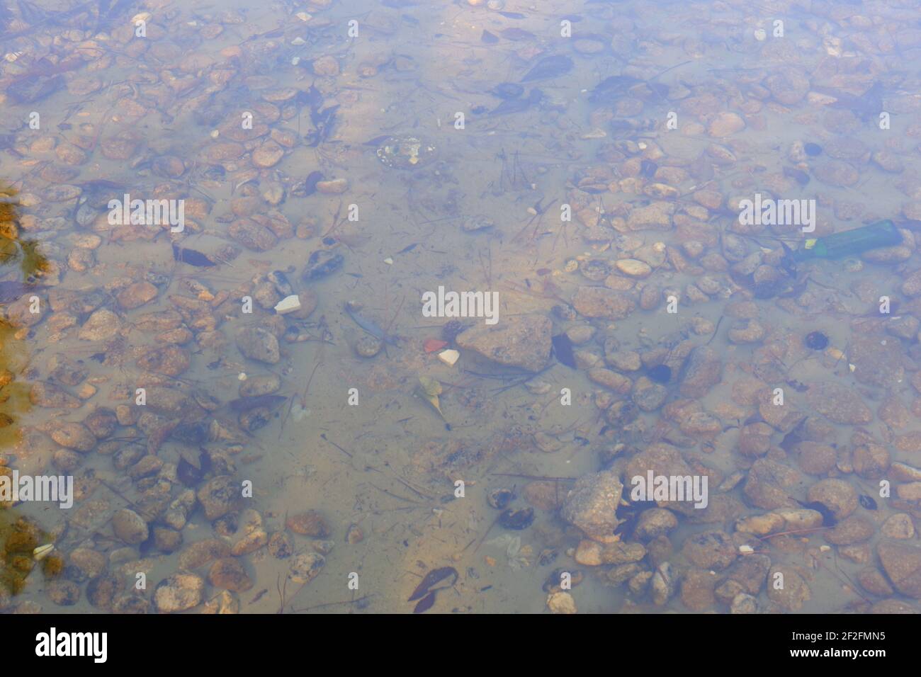 Kieselsteine unter Wasser Stockfoto