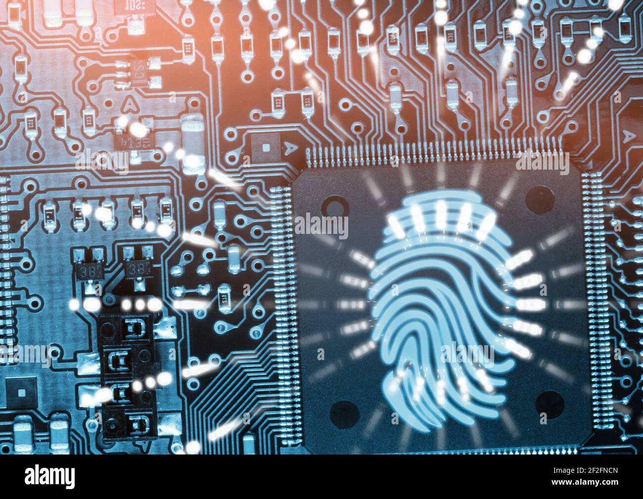 Biometrischer Fingerabdruck-Scanner gegen Mikroprozessorverbindungen auf blauem Hintergrund Stockfoto