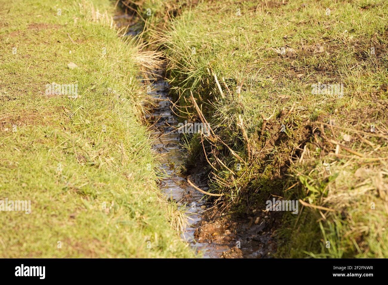 Drainage Graben, Landmanagement Engineering der Landschaft und Bewässerung der Pflanzen. Stockfoto