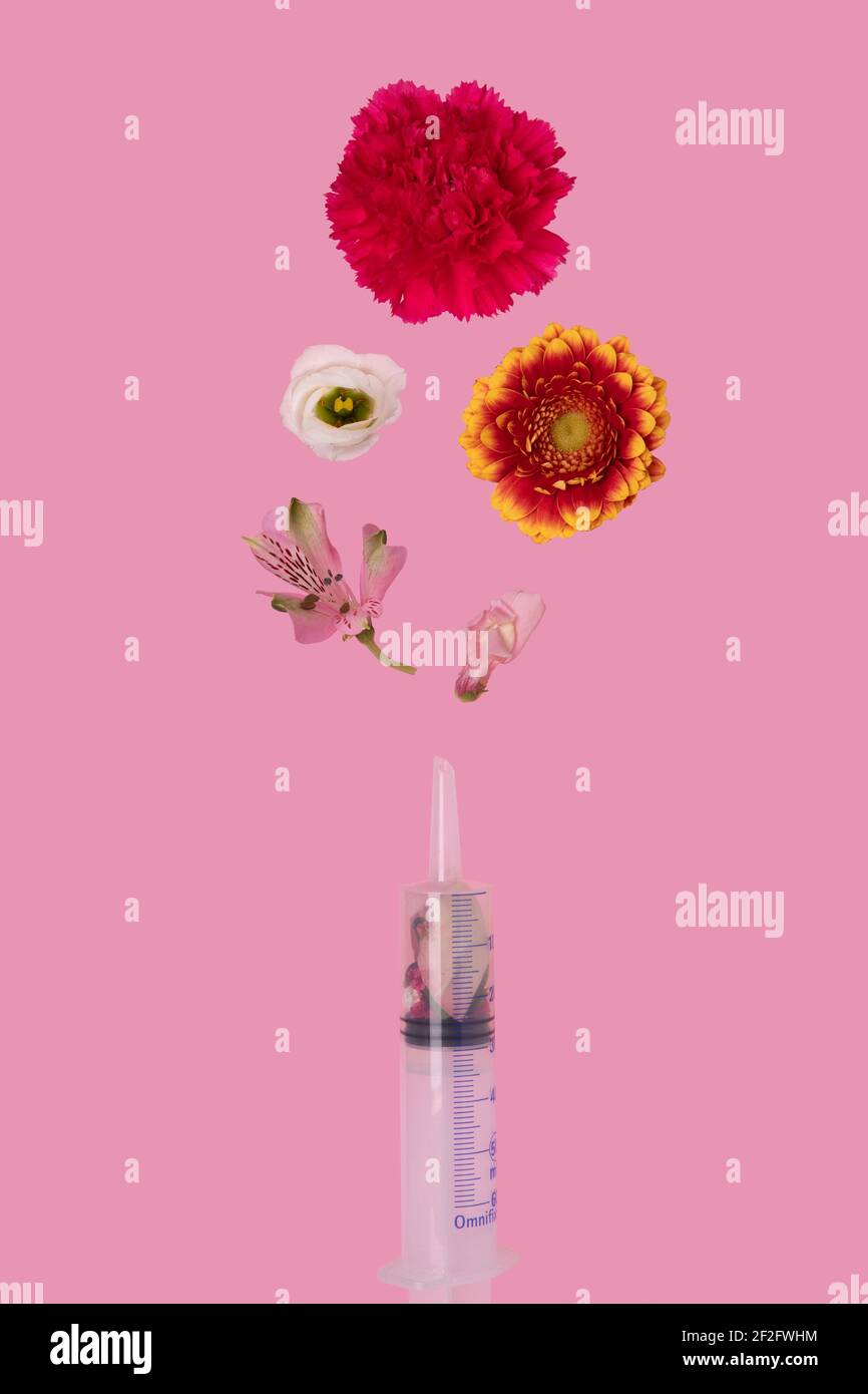 Impfstoff voller Frühlingsblumen, minimalistisches Konzept, rosa Frühlingshintergrund Stockfoto