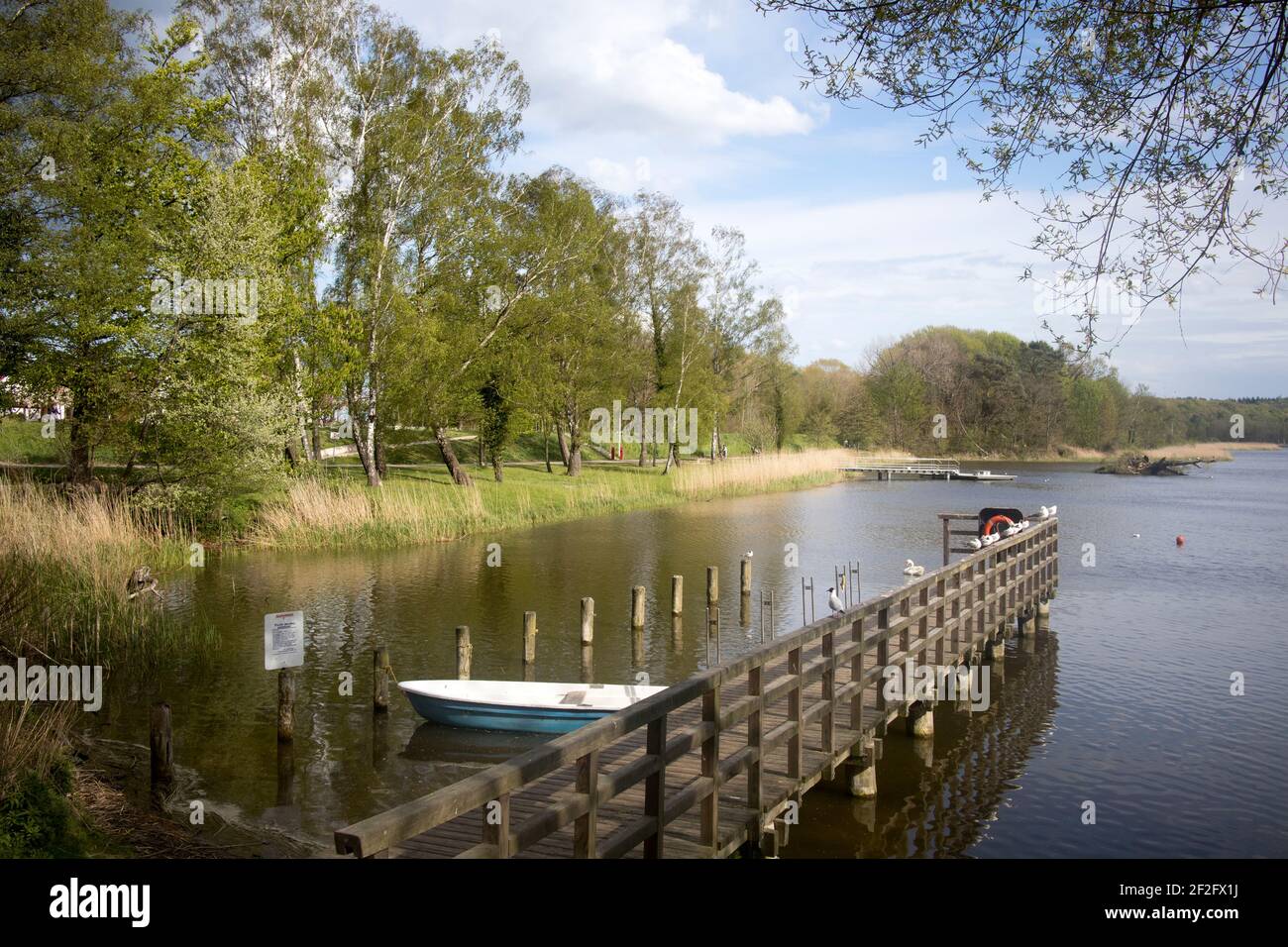 Koelpingsee, Loddin, Usedom Stockfoto