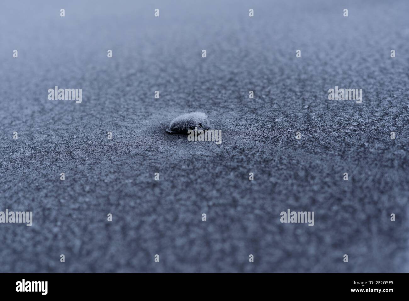 Die Scheibenwaschdüse im Fahrzeug ist mit abgedeckt Frost am Morgen des Winters Stockfoto
