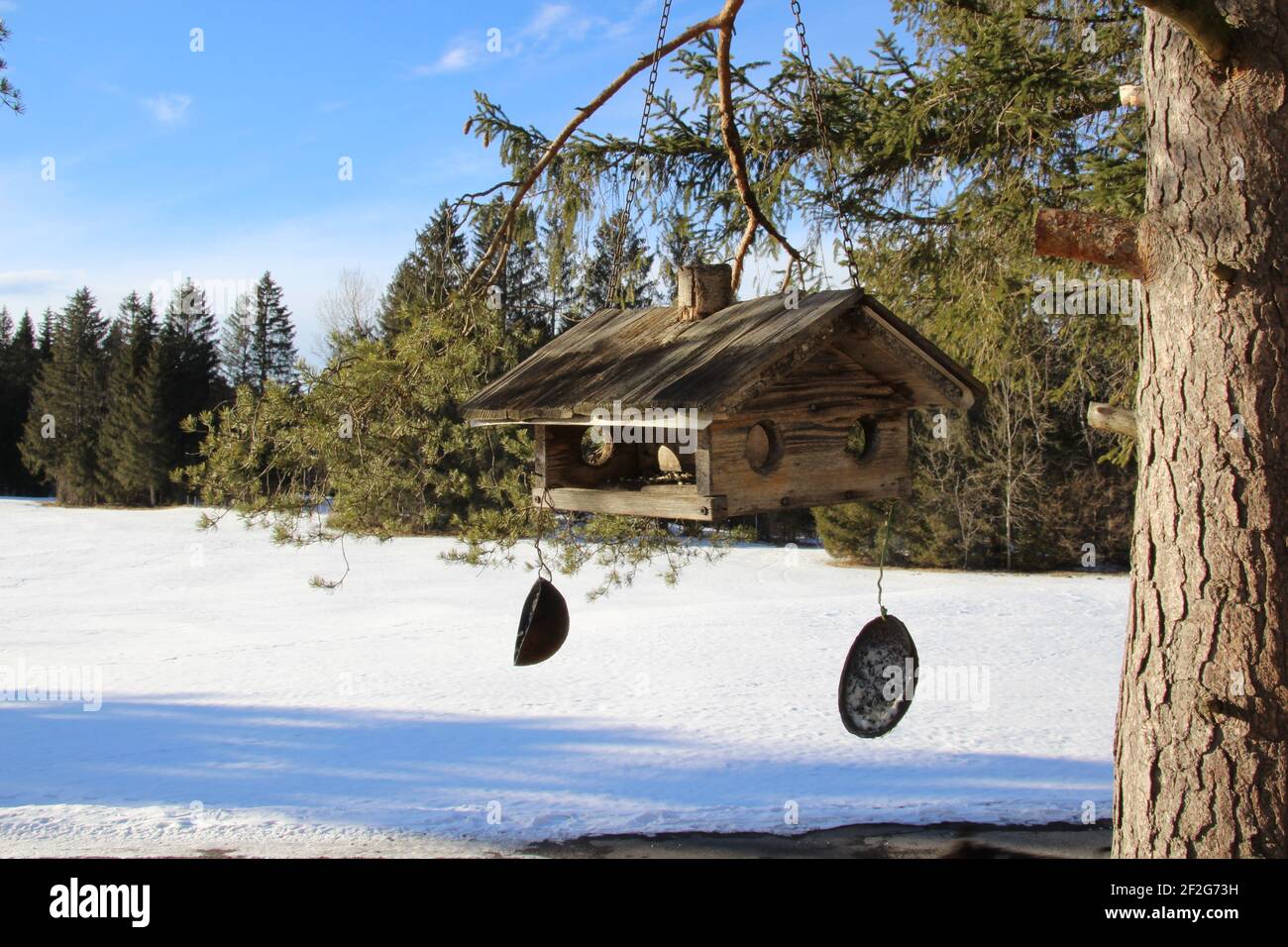 Winterspaziergang in den Buckelwiesen bei Mittenwald, Vogelhäuser hängen im Baum, Europa, Deutschland, Bayern, Oberbayern, Werdenfels, Winter Stockfoto