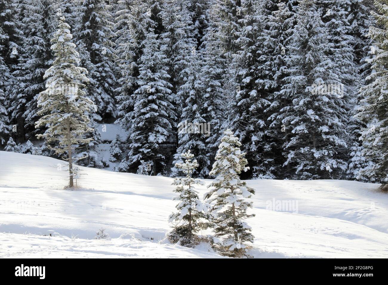 Winterwanderung in Gerold, bei Klais, Europa, Deutschland, Bayern, Oberbayern, Werdenfels, Winter, Stockfoto