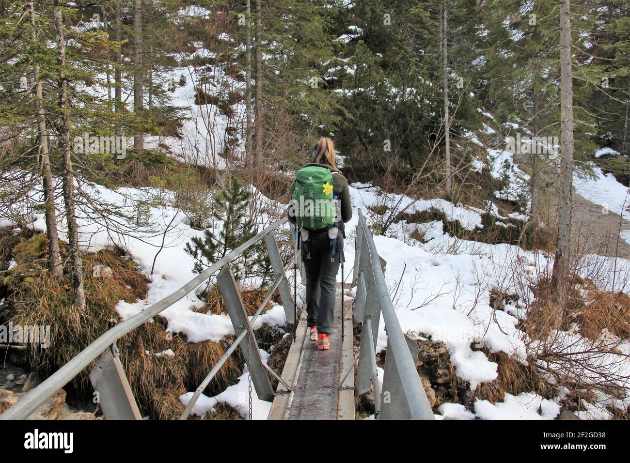 Bergwanderung bei Mittenwald zur Hochlandhütte, Brücke über Bergbach, Europa, Deutschland, Bayern, Oberbayern, Werdenfels, Stockfoto