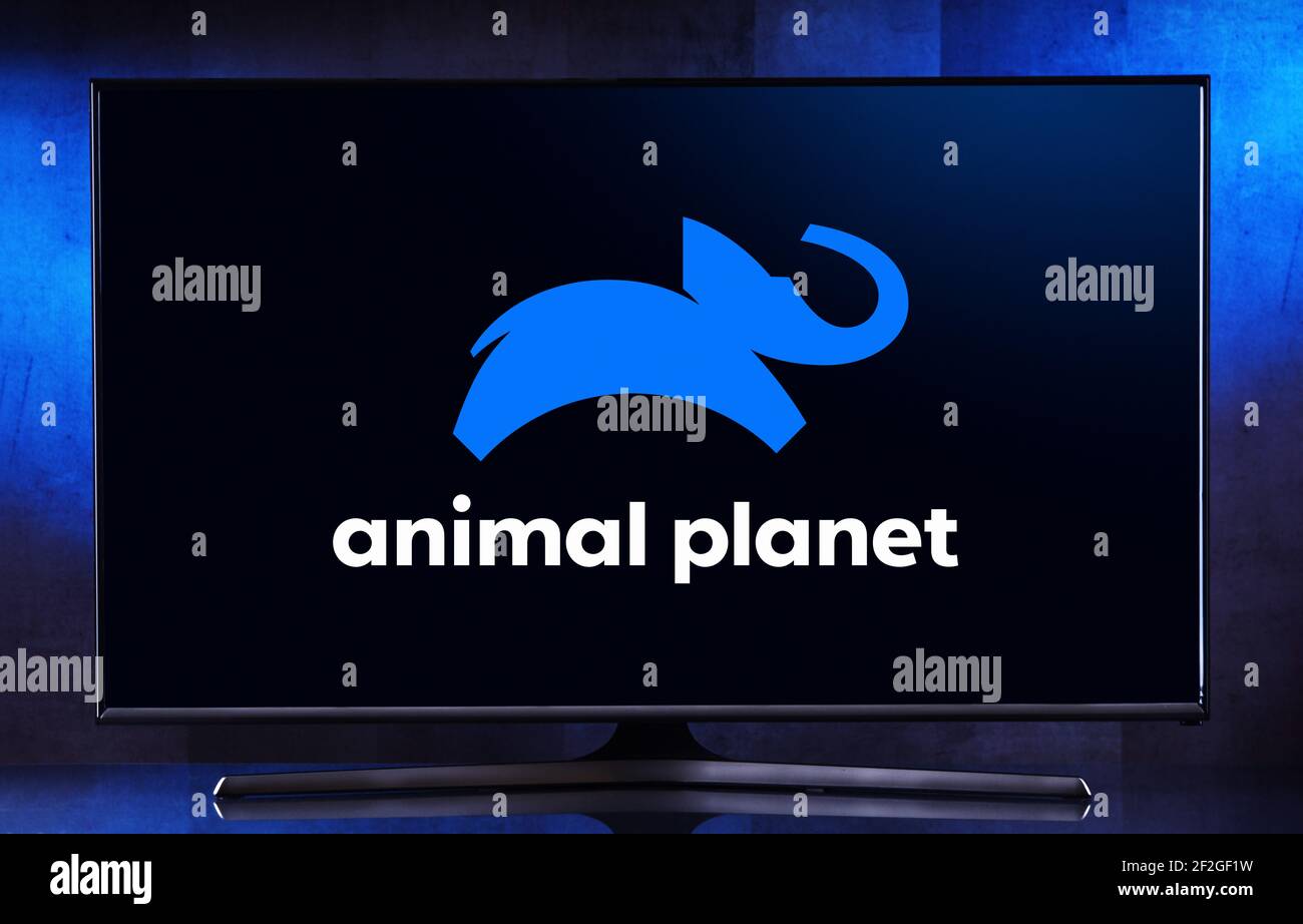 POZNAN, POL - 06. AUGUST 2020: Flachbildfernseher mit Logo von Animal Planet, einem amerikanischen multinationalen Pay-TV-Sender im Besitz von Discovery, Stockfoto