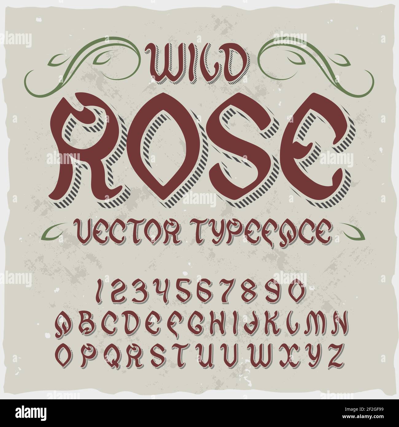 Original Label-Schrift namens 'Wild Rose'. Gute handgefertigte Schrift für jedes Label-Design. Stock Vektor