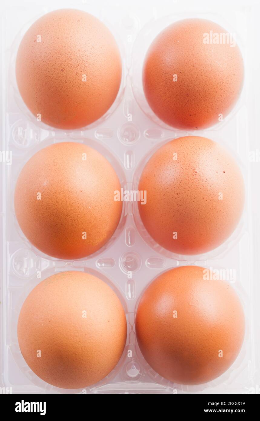 Eier isoliert auf weißem Hintergrund. Hochwertige Fotos Stockfoto