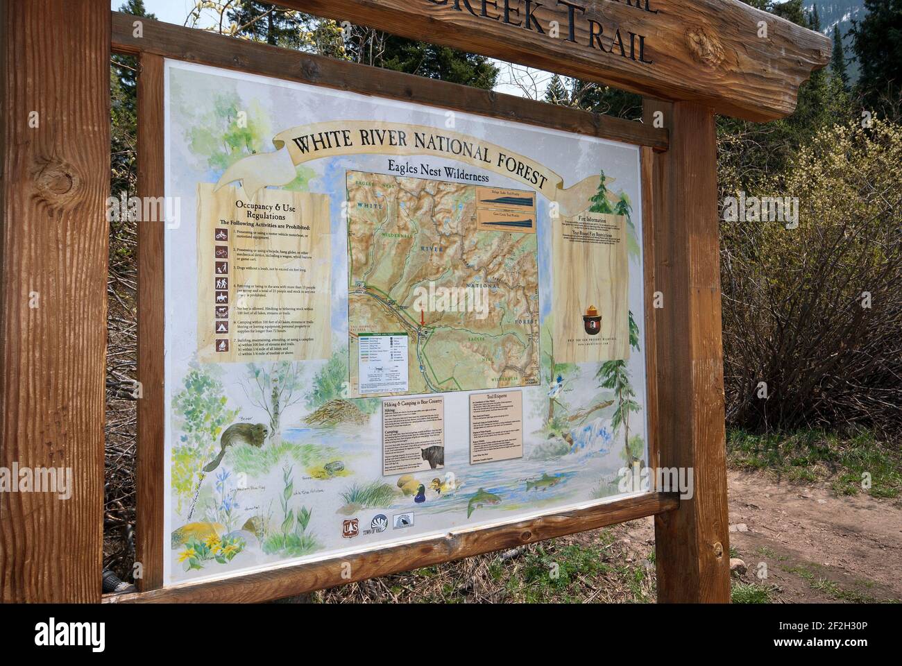 Informationstafel im White River National Forest, Colorado, USA Stockfoto