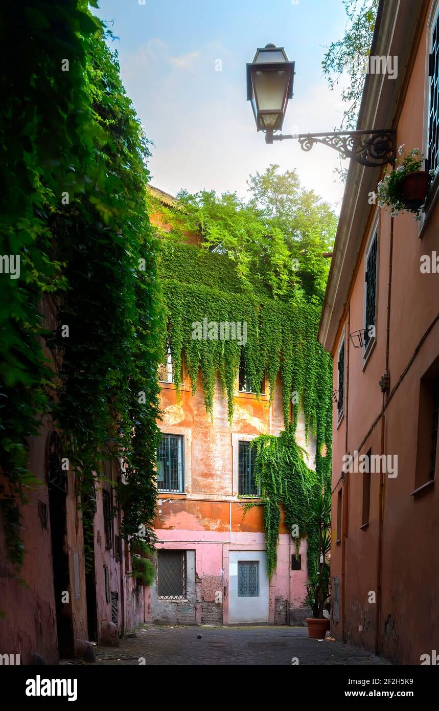 Blick auf die alte Straße in Trastevere in Rom, Italien Stockfoto