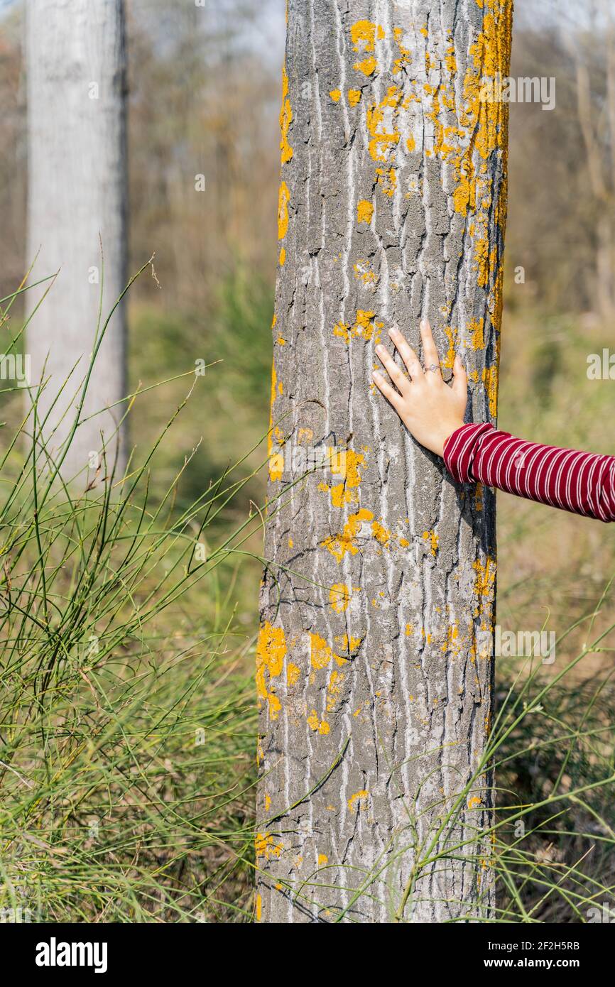 Eine vertikale Aufnahme einer Frau, die mit der Natur in Verbindung steht Der Wald an einem sonnigen Tag Stockfoto