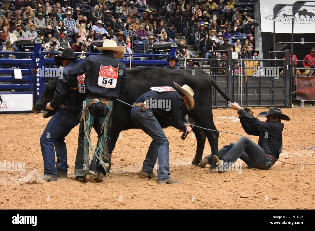 WRCA 23rd World Championship Ranch Rodeo, Amarillo, Texas, USA Stockfoto