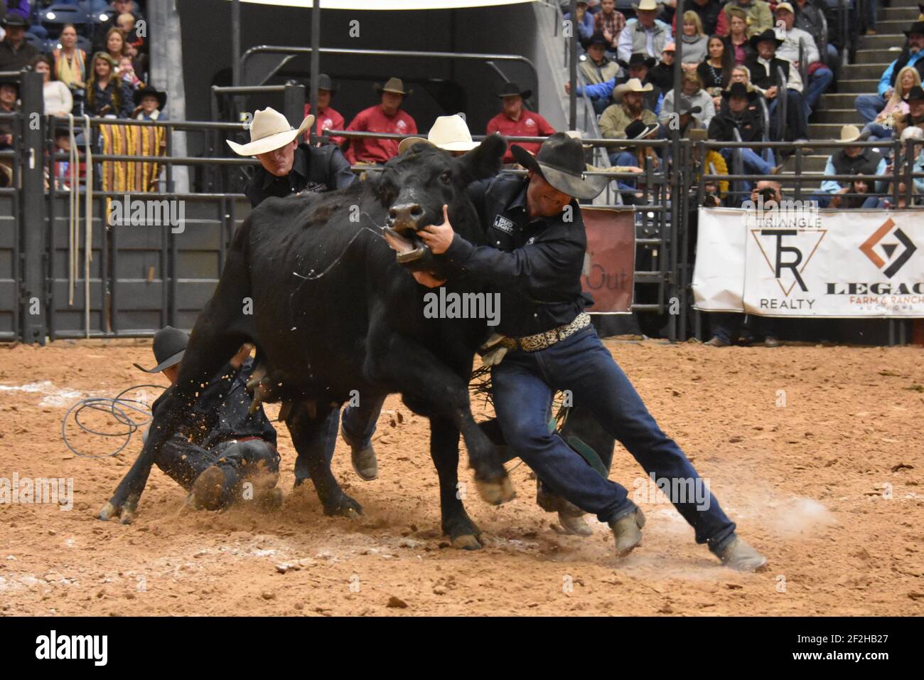 WRCA 23rd World Championship Ranch Rodeo, Amarillo, Texas, USA Stockfoto