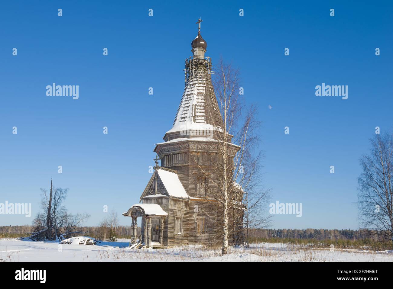 Birke und alte hölzerne Sreteno-Michailowskaja Kirche (1655) am Februarnachmittag. Krasnaja Ljaga, Bezirk Kargopol. Arachangelsk Region, Russland Stockfoto