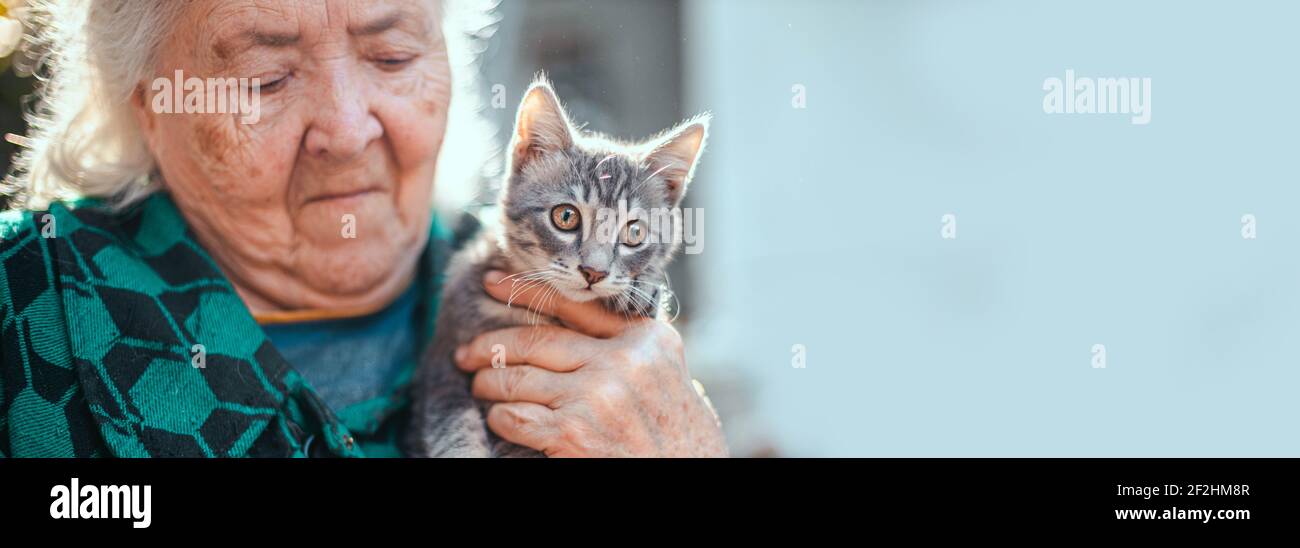 Ukraine, Odessa, Januar 01 2020: Porträt einer älteren Frau, die eine Katze mit braunen Augen hält. Stockfoto