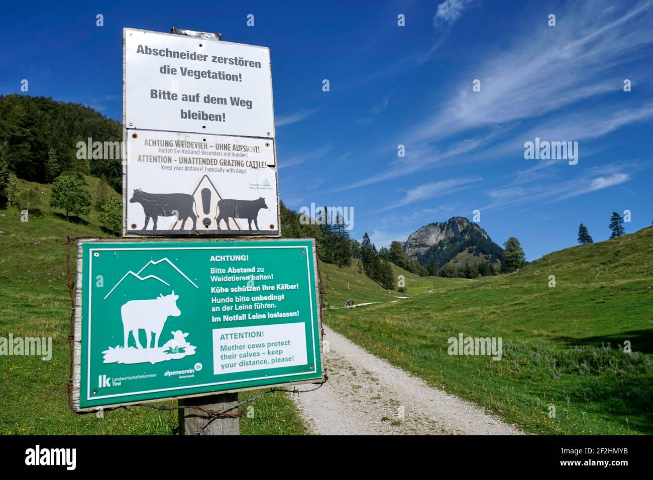Österreich, Tirol, Kufstein, Erl, Kranzhorn, 1368m, Warnschilder, halten Abstand zu Weidetieren, Kühe schützen ihre Kälber, Schneider zerstören die Vegetation, nicht verlassen Wanderwege Stockfoto