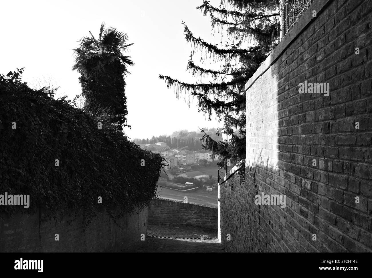 Ein Blick von einer Allee mit einer Palme in einem mittelalterlichen italienischen Dorf (Marken, Italien, Europa) Stockfoto