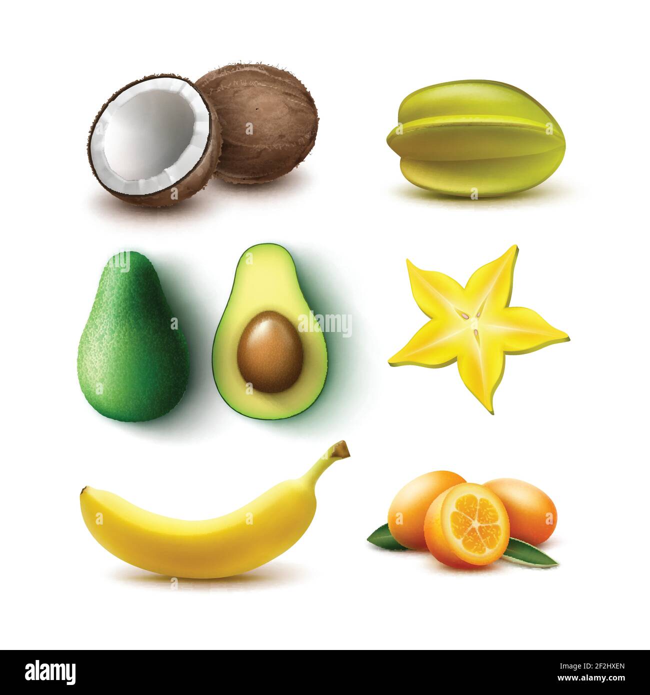 Vektor-Set von ganzen und halb geschnitten tropischen Früchten Avocado, Banane, Kokosnuss, Karambola, Starfruit, Kumquat isoliert auf weißem Hintergrund Stock Vektor