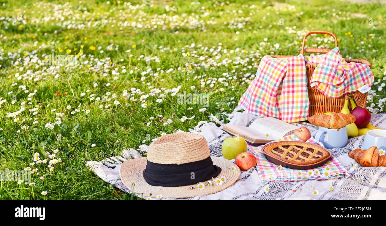 Picknickkorb auf dem grünen Rasen im Park. Leckeres Essen zum Mittagessen im Freien. Süßes Gebäck, Getränke und Obst. Schöner Tag im Sommer. Hochwertige Fotos. Speicherplatz kopieren Stockfoto
