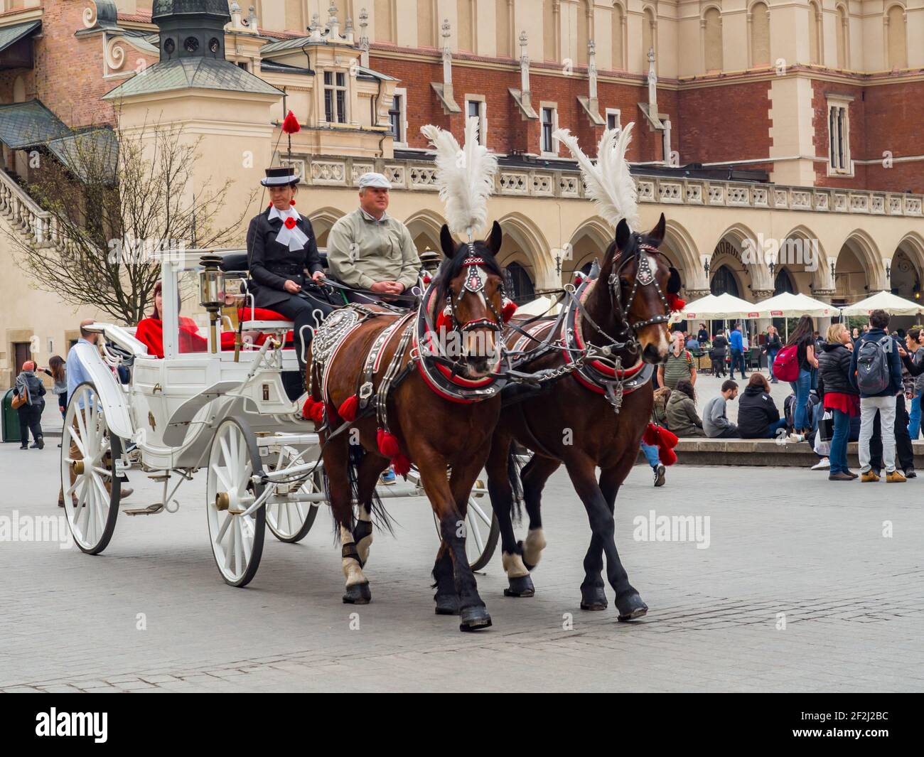 Krakau, Polen, - Apr 2017: Weiße Pferdekutsche mit Pferden auf dem Altstädter Ring in Krakau und im Hintergrund der Tuchsaal. Stockfoto
