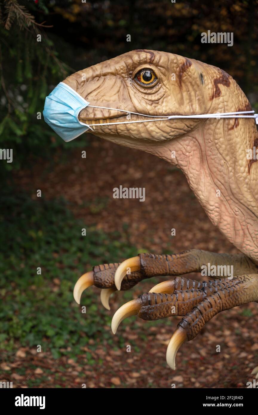 Dinosaurier Deinonychus mit Mund- und Nasenschutz, Dinopark des Urweltmuseums Hauff, Holzmaden, Süddeutschland Stockfoto