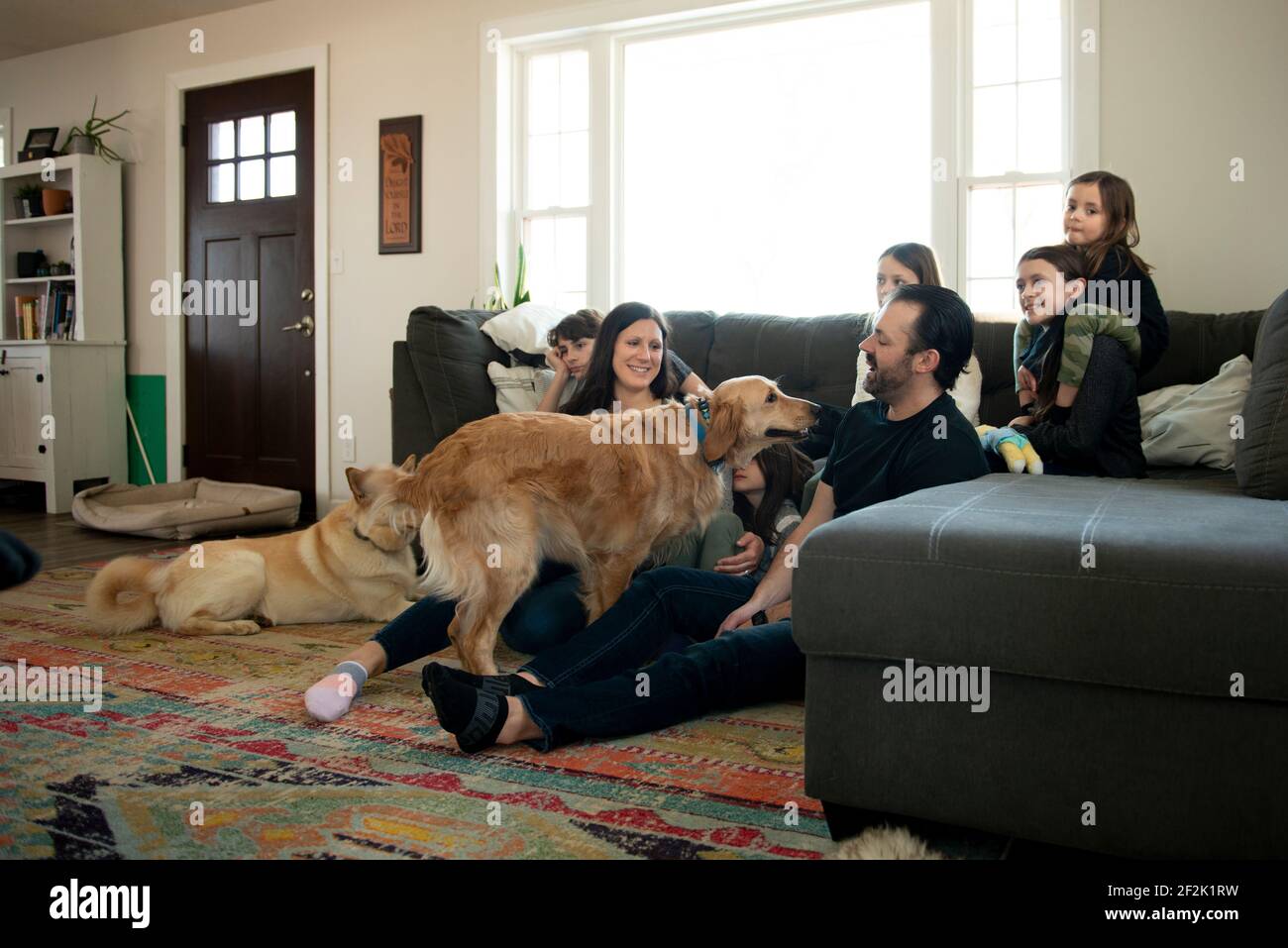 Siebenköpfige Familie im Wohnzimmer mit ihren Hunden. Stockfoto