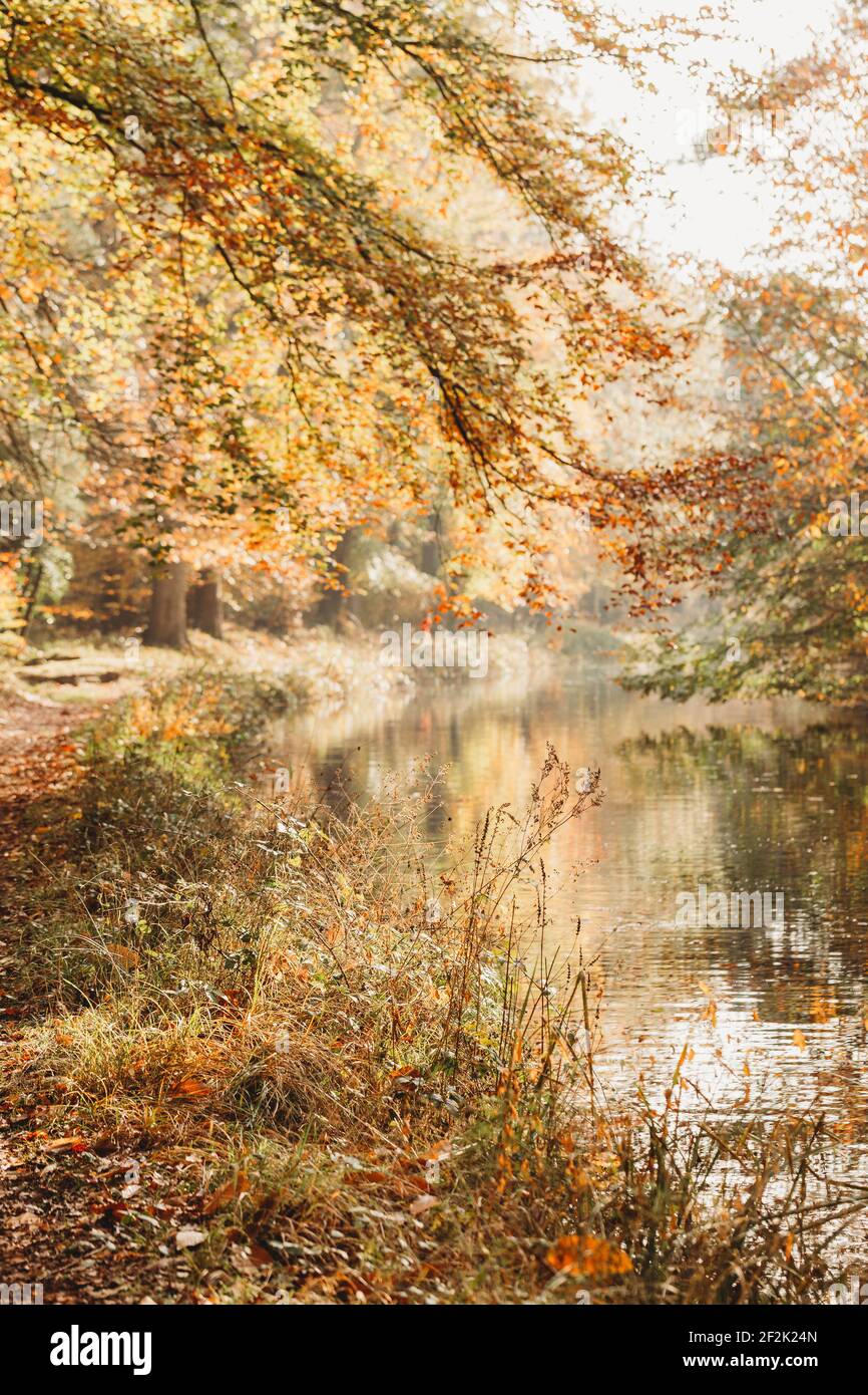 Landschaftsansicht des Kanals im Herbst mit Reflexionen und Wellen Stockfoto