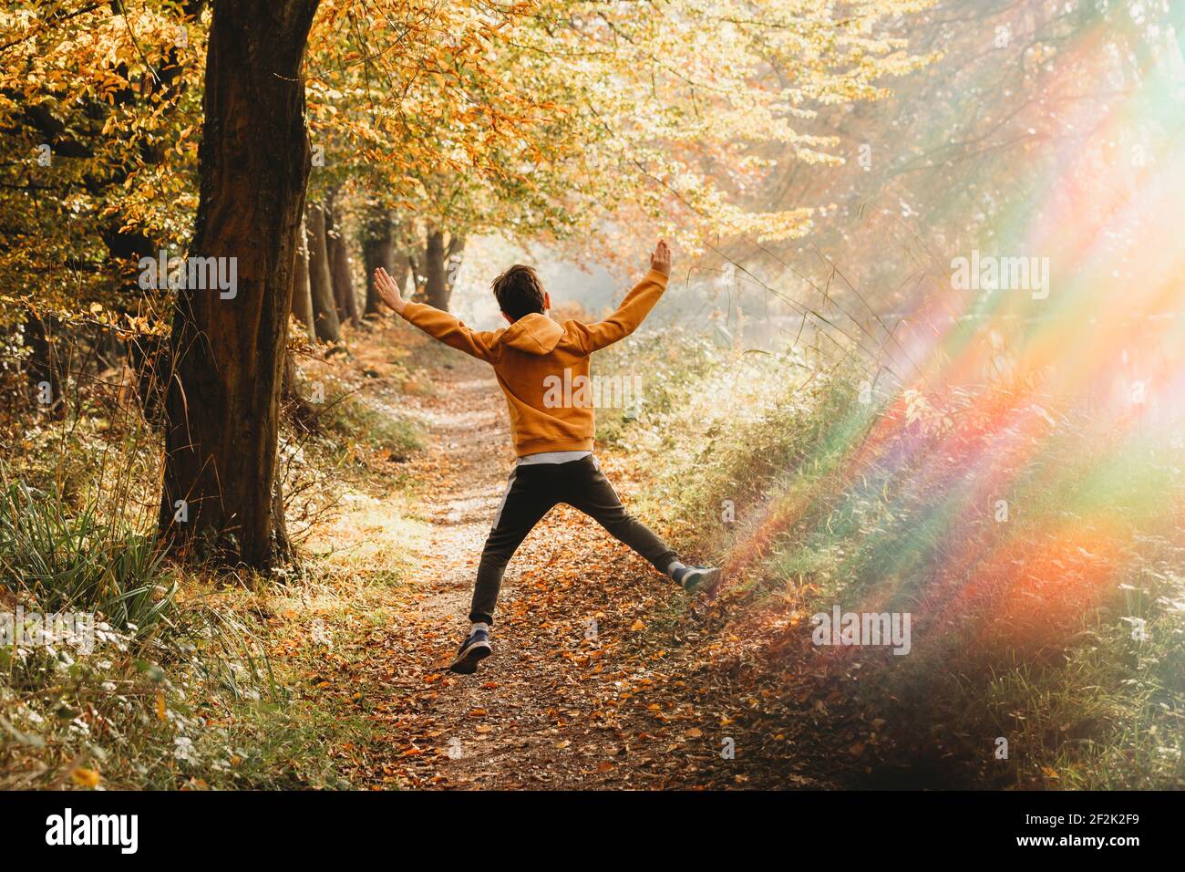 Junge springt in die Luft auf Pfad unter Baum mit regenbogenlicht Stockfoto