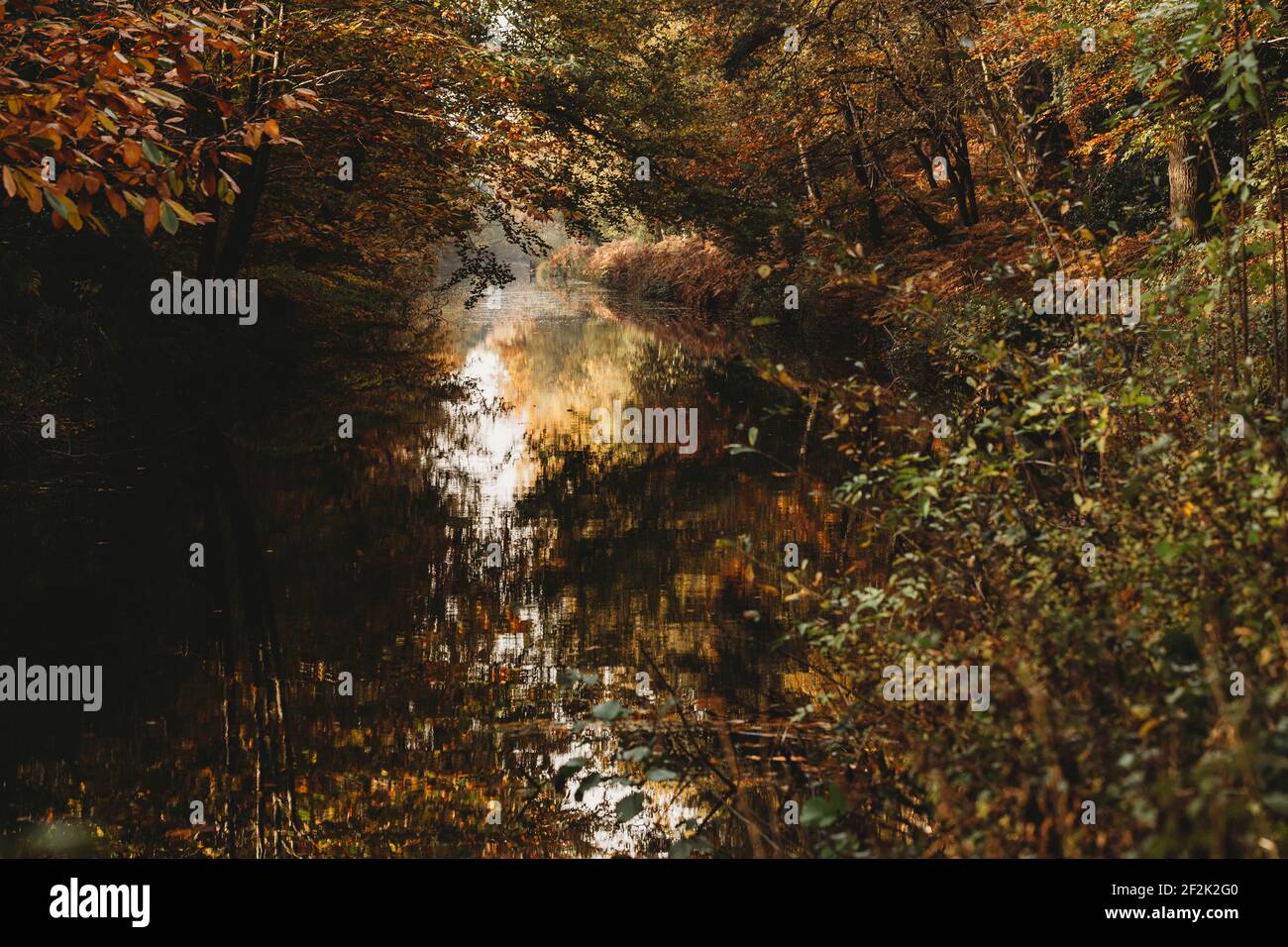 Landschaftsansicht des Kanals im Herbst Stockfoto