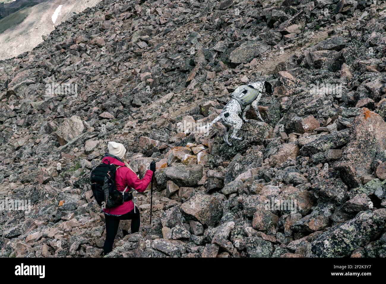 Wanderweibchen Wandern mit Hund auf den Bergen während des Urlaubs Stockfoto