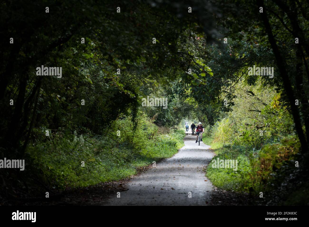 Radfahrer auf dem Tarka Trail Wanderweg und Radweg auf dem South West Coast Path in Fremington, Devon, Großbritannien. Stockfoto
