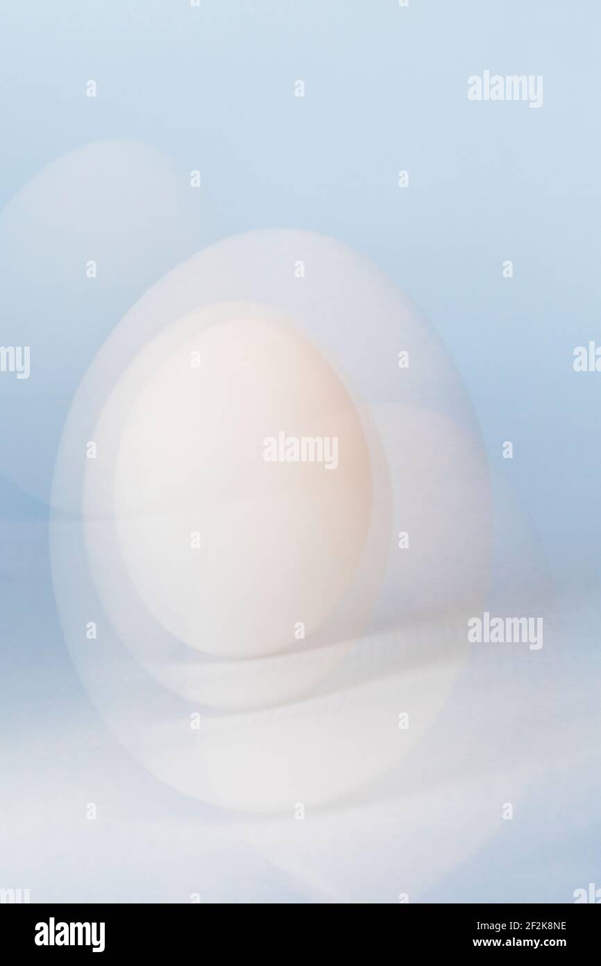 Mehrfachbelichtung von White Duck Egg auf hellblauem Hintergrund Stockfoto