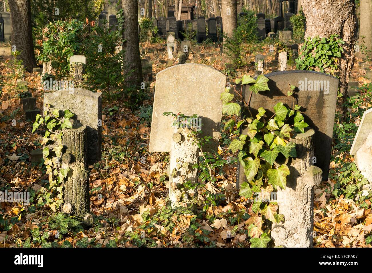 Berlin, jüdischer Friedhof Berlin Weissensee, größter erhaltener jüdischer Friedhof in Europa, Schreibtischgrabsteine Stockfoto