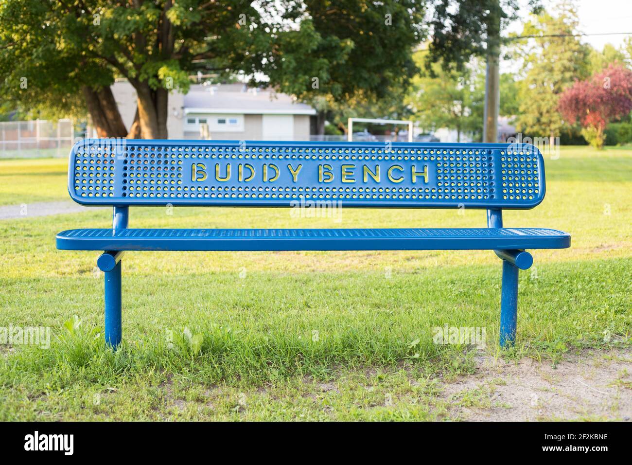 Blue Buddy Bank im öffentlichen Park in der Nähe der Schule Stockfoto