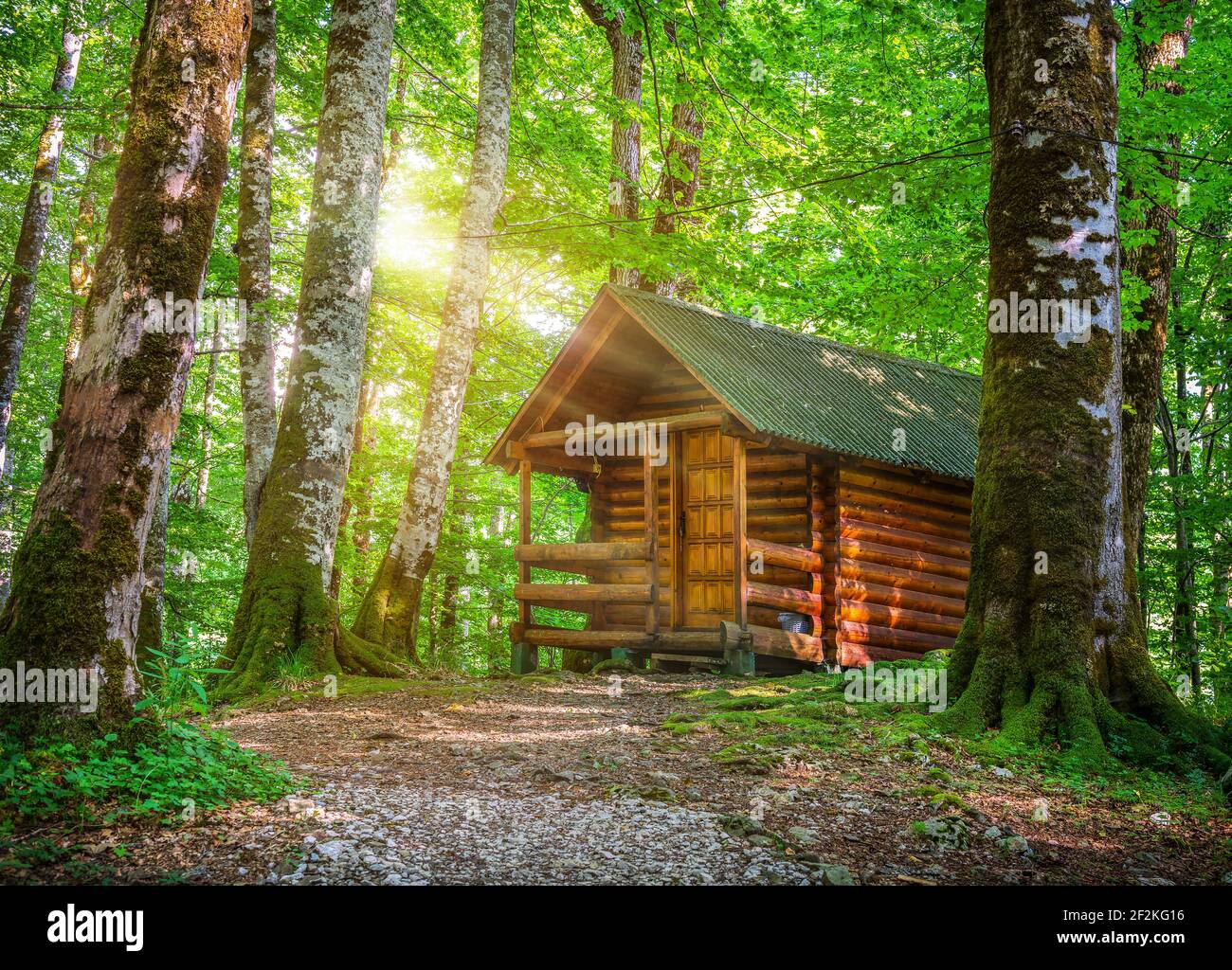 Holiday Village in Biogradska Gora Nationalpark Stockfoto