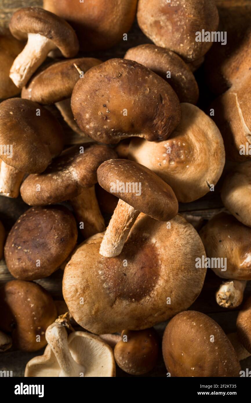 Rohe Bio Shiitake Pilze bereit zum Kochen Stockfotografie - Alamy