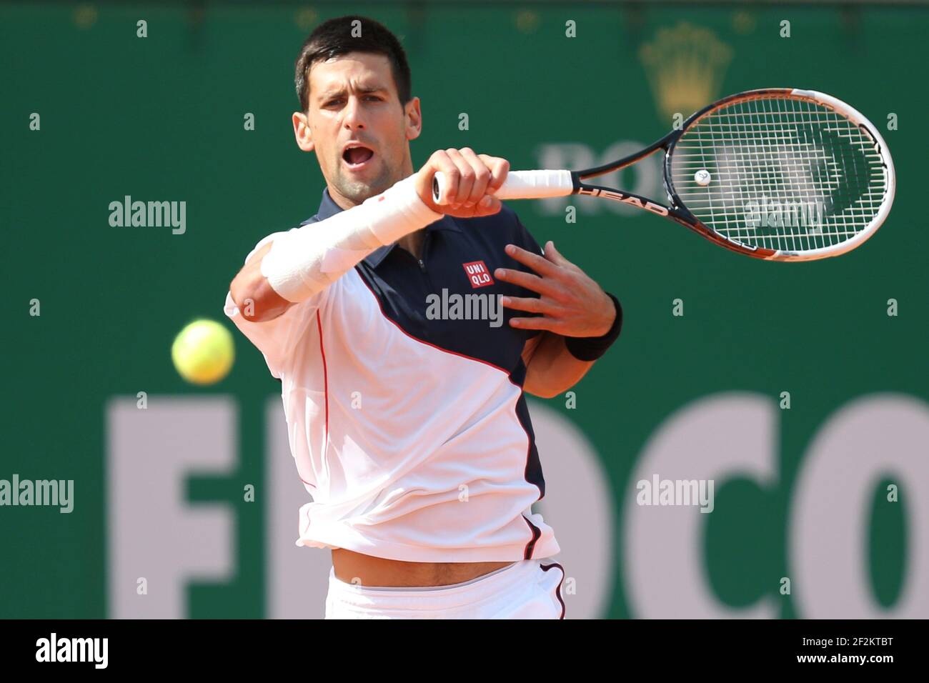 rolex djokovic