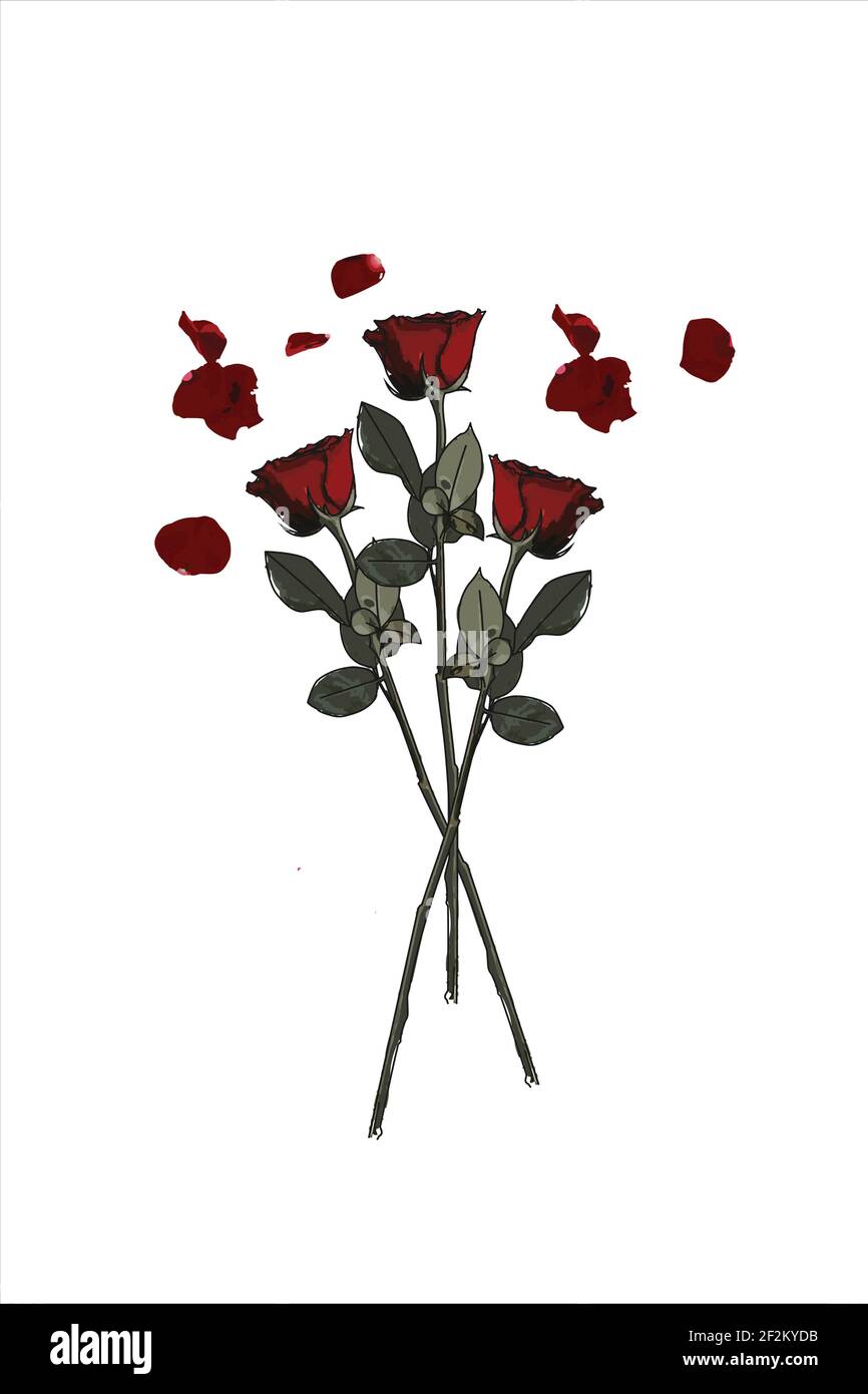 Rote Rosen mit weißem Hintergrund Illustration Stock Vektor