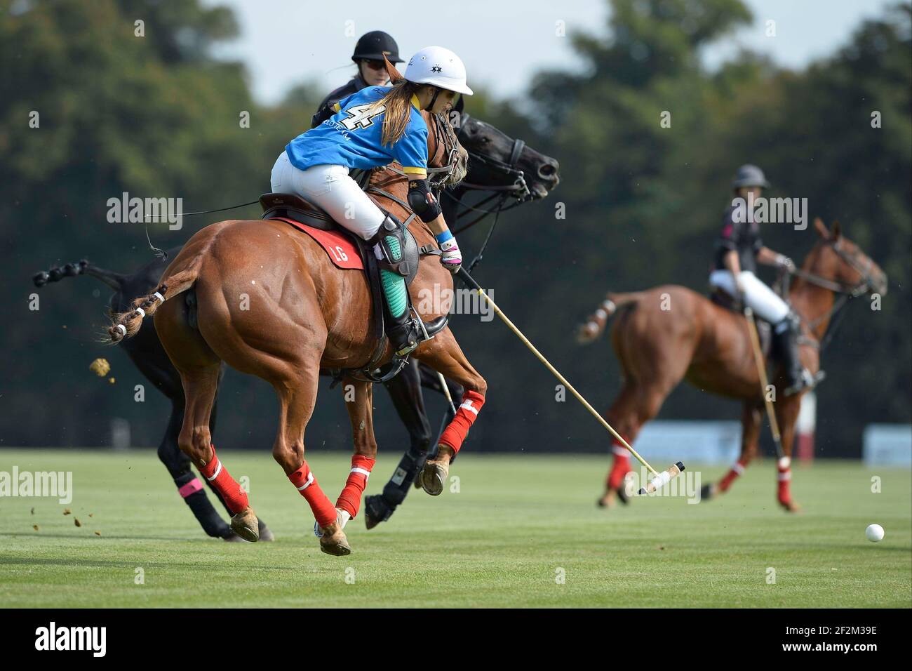 Reitsport - Polo - Finale Frauen - WARUM NICHT / TOM TAILOR während der French Open 2013 in Apremont / Chantilly (Frankreich) - 21th. September 2013 - 2nd Women French Open Chopard - 13. French Open - Foto : Christophe Bricot / DPPI - Team TOM TAILOR (Blau) ? Zentrum Porsche Roissy ( Lavinia Fabre (Cap.) - FRA - Naomi Schroder - GER - Tahnee Schroder - GER - Lia Salvo ? ARG und Team WHY NOT (schwarz und pink) Hana Grill (Cap.) - AUS - Gaele Gosset - FRA - Hazel Jackson - GBR - Anna Kates-Davis ? GBR Stockfoto