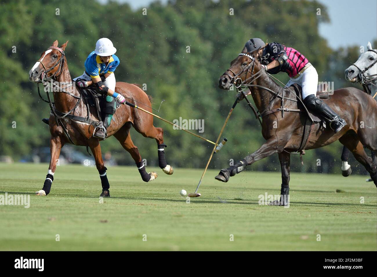 Reitsport - Polo - Finale Frauen - WARUM NICHT / TOM TAILOR während der French Open 2013 in Apremont / Chantilly (Frankreich) - 21th. September 2013 - 2nd Women French Open Chopard - 13. French Open - Foto : Christophe Bricot / DPPI - Team TOM TAILOR (Blau) ? Zentrum Porsche Roissy ( Lavinia Fabre (Cap.) - FRA - Naomi Schroder - GER - Tahnee Schroder - GER - Lia Salvo ? ARG und Team WHY NOT (schwarz und pink) Hana Grill (Cap.) - AUS - Gaele Gosset - FRA - Hazel Jackson - GBR - Anna Kates-Davis ? GBR Stockfoto